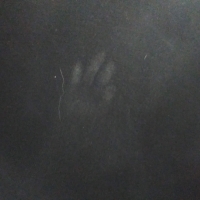 Nrydiry