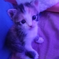 Cansu9282