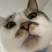 LunaAlex