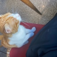 Catsssloverbera