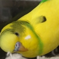 Jmeri