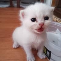 ZE