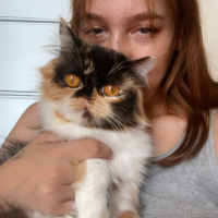Aslila