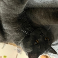 tugcyln22