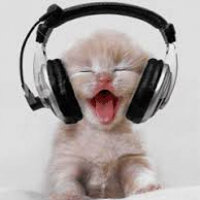 music_cats