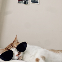 ntcdsm