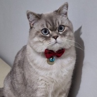 mehmetokanoruc