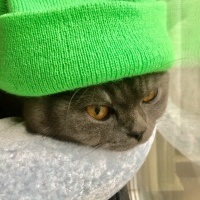 milobby