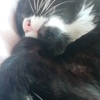 zzeyneep
