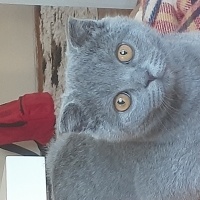 ElmiraTzl