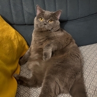 tugceeemisha