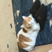 YagmurKucuk