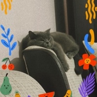 nurmiu