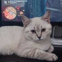 Nohackmove