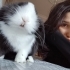 Busemsii