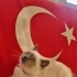 Nilüfer Yıldırım