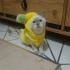 Ayse5858