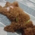 Selda0281