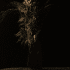 k1182909