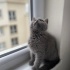 Nazlıcan Hezzeklioğlu