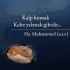 Denizligungor