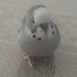 k1303329