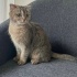 Zarah
