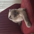 k1370114