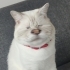 didirik