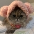 Cindyyyy