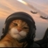 Beta26