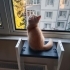 KUMPIR