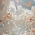 k1574778