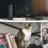 k1581527