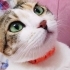 Elmas_12