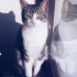Gizem2125