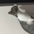 Ce**** Iş** Du****