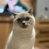 Casper_IlkerBostanci