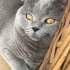 ebru@ozguryuksel.com