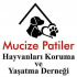 sanslipatiler