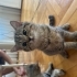 Tacan