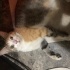 batuhanemine30gmailcom
