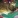 begum_6363hotmailcom