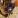 TomoeTheFox