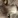 k1177482