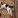 Zeytin06