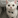 Casper44