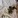 cat_whisperer06