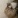 aysenurdereli55gmailcom
