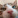 xCat